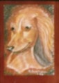 /album/portfolio/pastel-doleo-1-jpg/